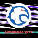 nowgoal wtf Profile Picture