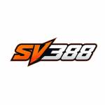 SV388 Profile Picture