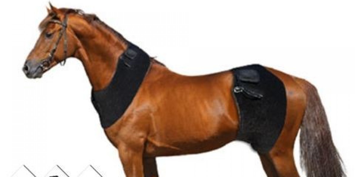 Equine Red Light Therapy: A Modern Solution for Horse Wellness