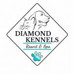 Diamond Kennels Profile Picture